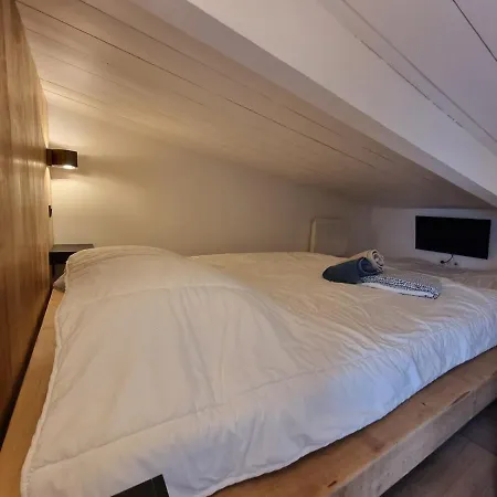 Appartement Le Flocon-duplex Face Aux Pistes La Mongie