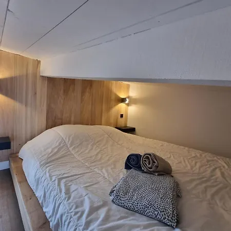 Le Flocon-duplex Face Aux Pistes *