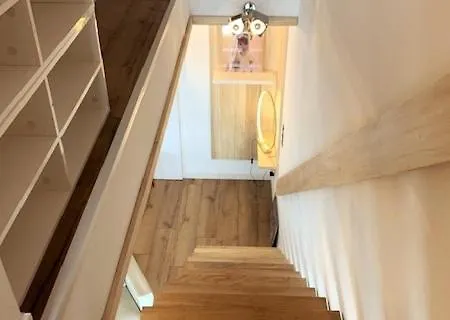 Le Flocon-duplex Face Aux Pistes Διαμέρισμα *