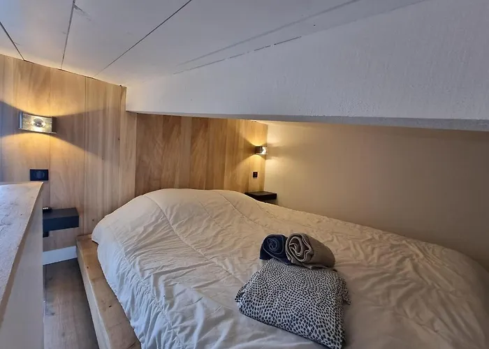 Le Flocon-duplex Face Aux Pistes *