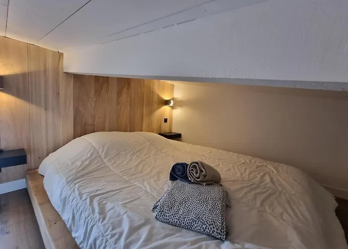 Le Flocon-duplex Face Aux Pistes アパート ラ・モンジー