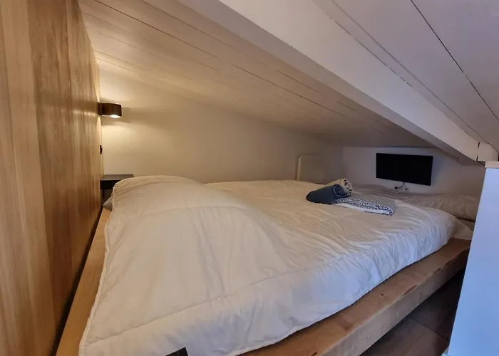 アパート Le Flocon-duplex Face Aux Pistes ラ・モンジー