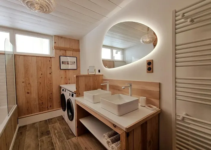 Le Flocon-duplex Face Aux Pistes ラ・モンジー